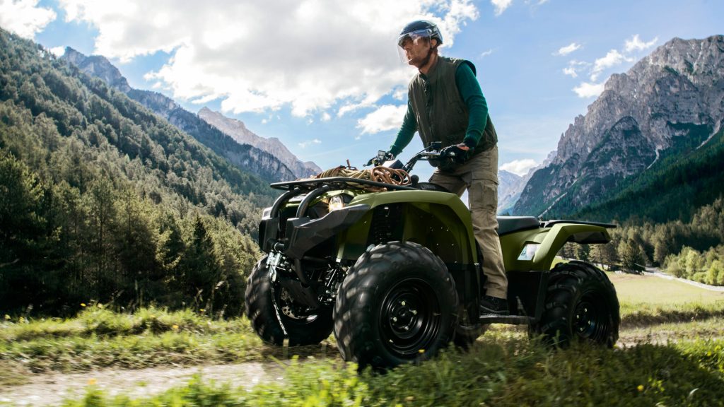 2025 Yamaha Kodiak 450 - Image 7