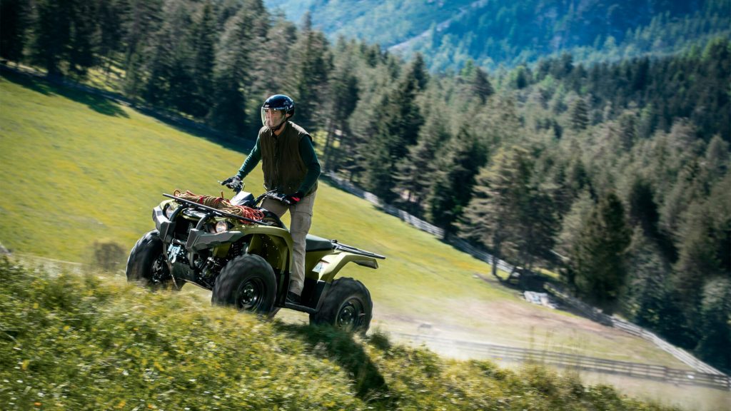 2025 Yamaha Kodiak 450 - Image 6