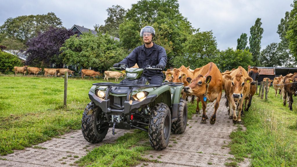 2025 Yamaha Kodiak 450 EPS - Image 7
