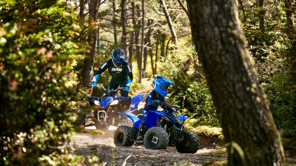 2025 Yamaha YFZ50 - Image 5