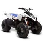 Smc hornet deals 100cc