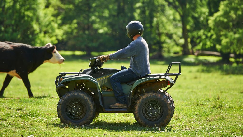 2025 Yamaha Kodiak 700 EPS - Image 5