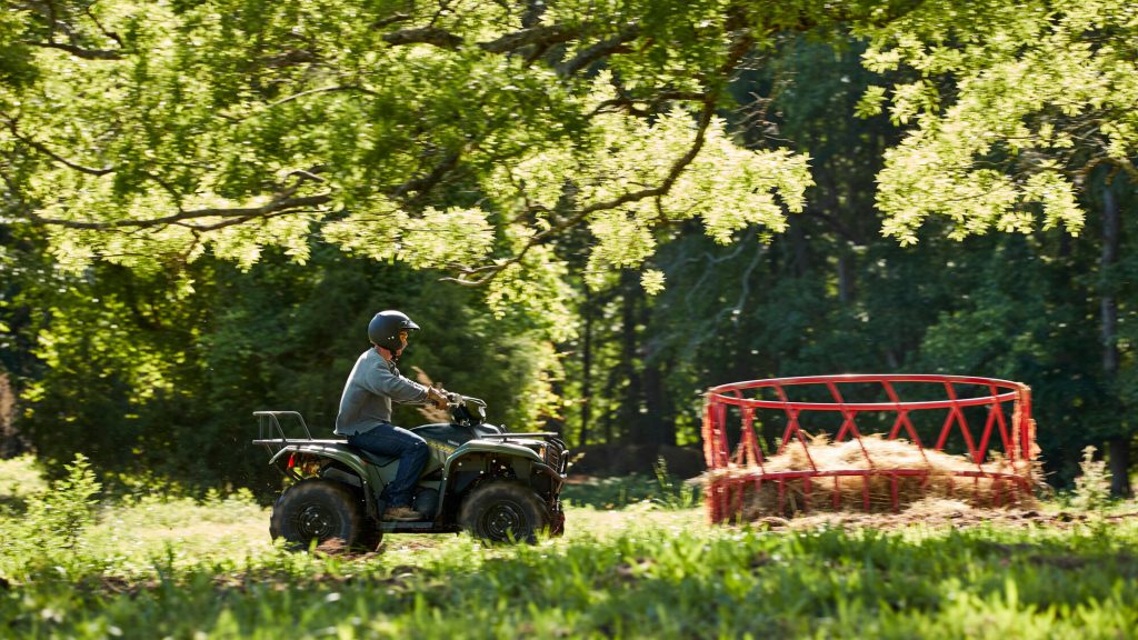 2025 Yamaha Kodiak 700 EPS - Image 6